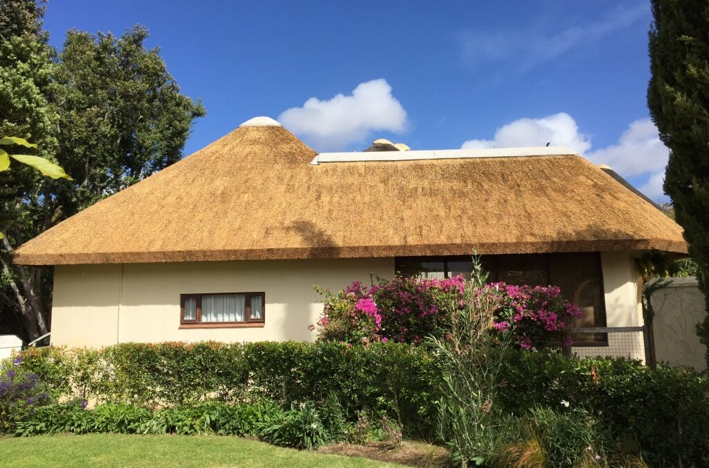 Thatch Roof in Constantia