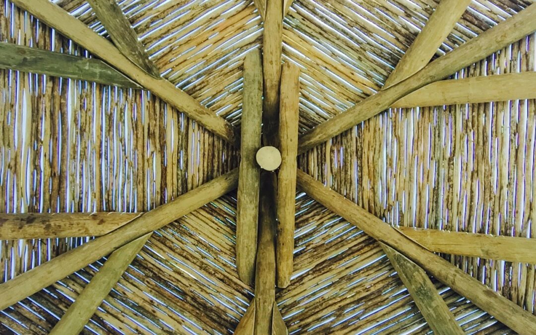 Pergolas offer exceptional value for money – alternative to thatch