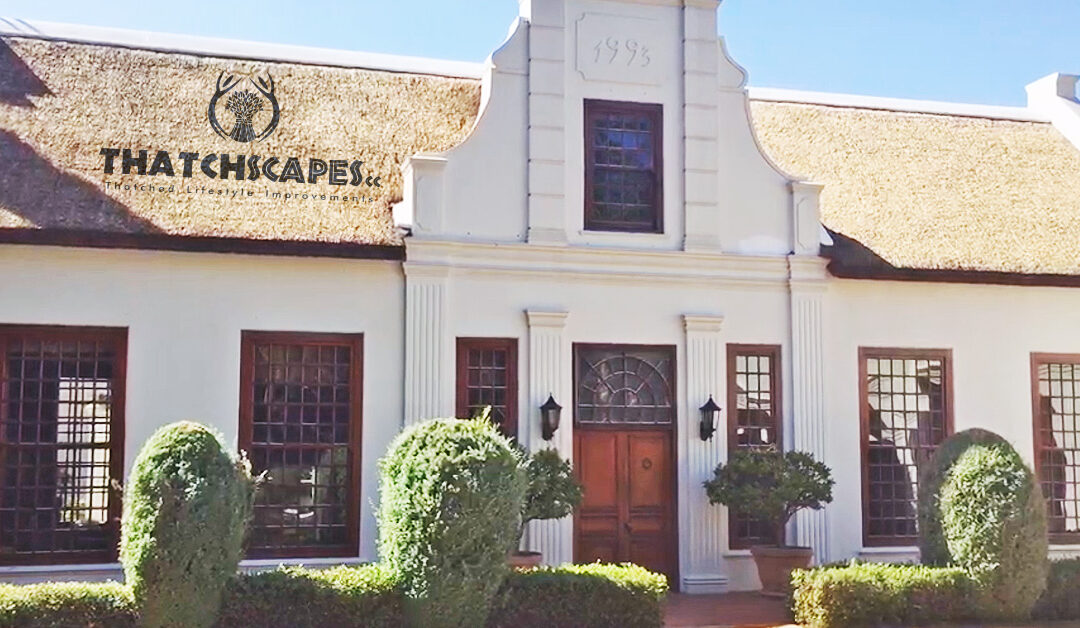 Re-thatch Durbanville