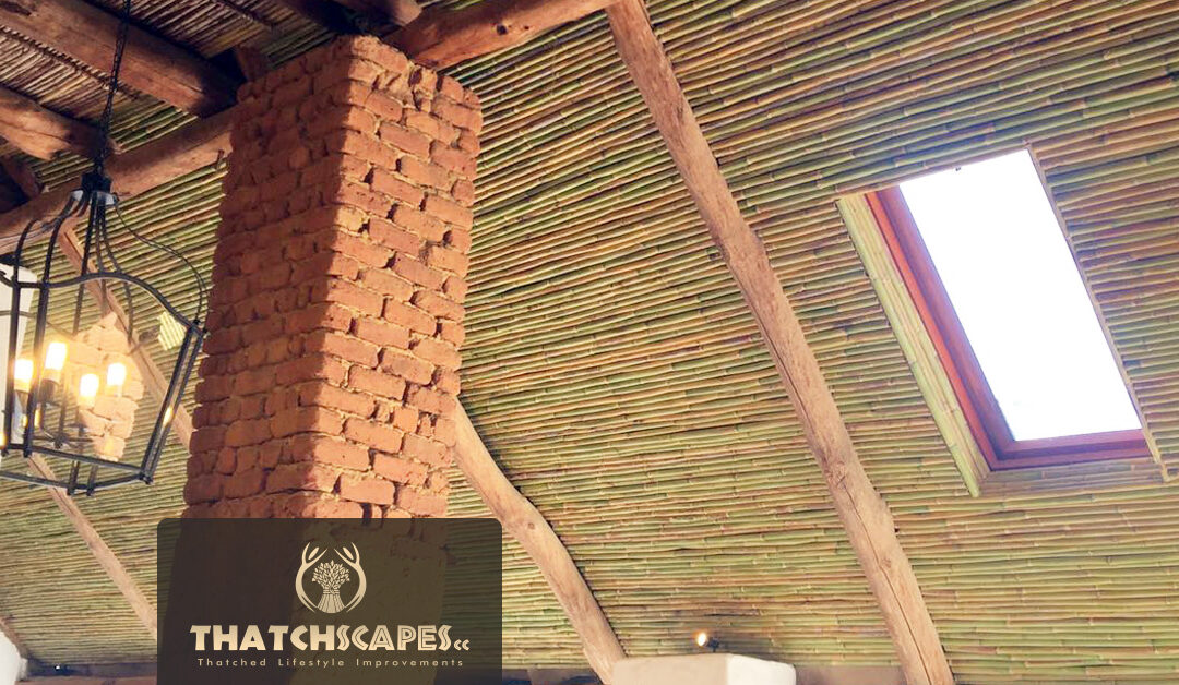 Bamboo Ceiling at Diamant Estate – Paarl