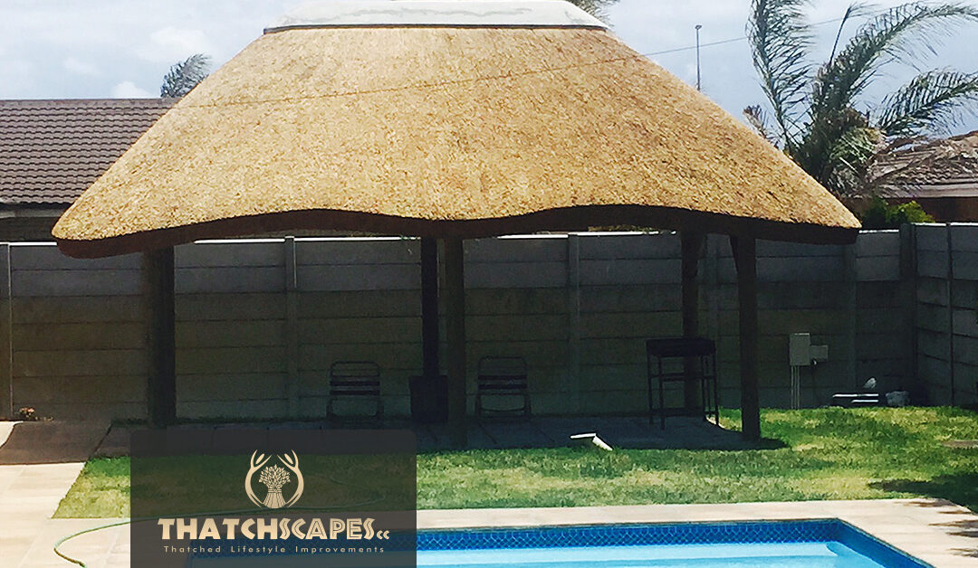 Thatched Lapa Brackenfell