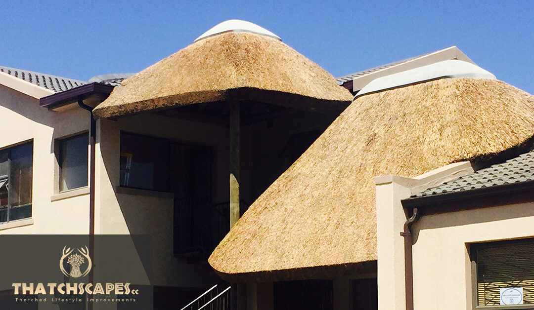 Custom Thatch Roof – Bellville