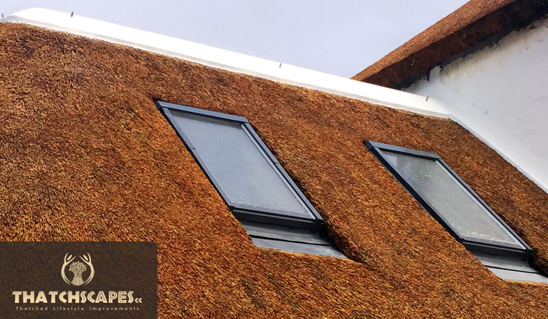 Thatch Roof Windows